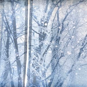 Meet your Posher, Hheather